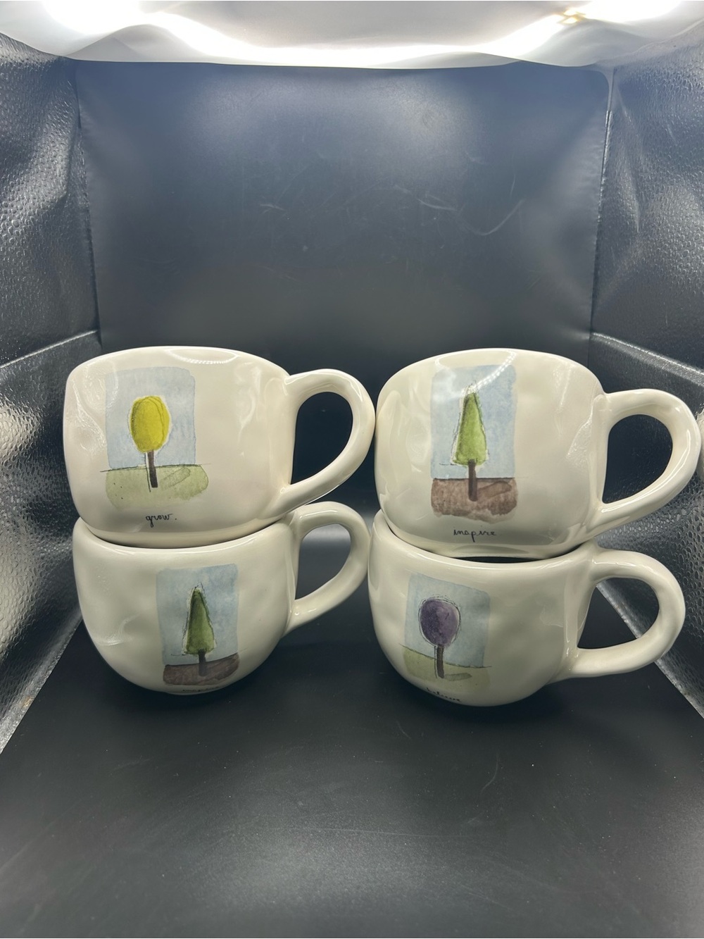 4 POTTERY BARN Tea Gardens Mugs By RAE DUNN Inspire Believe Grow Create 3" x 4"